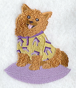 Pomeranian in Pajamas