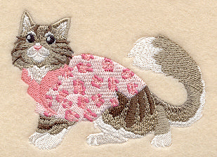 Maine Coon in Pajamas