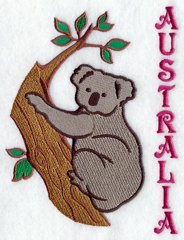 Koala and Australia