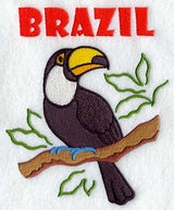 Toucan and Brazil