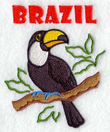 Toucan and Brazil