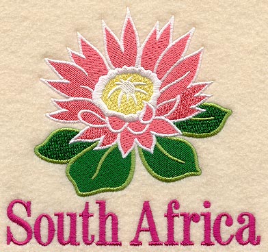 King Protean and South Africa