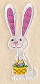 Easter Bunny Whimsy