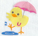 Puddle Jumping Chick