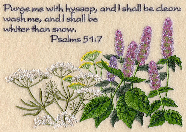 Purge Me With Hyssop