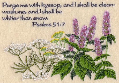 Purge Me With Hyssop