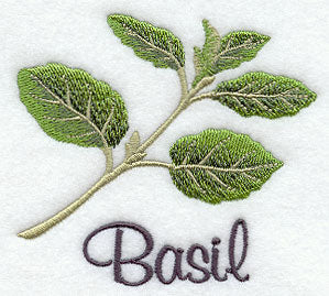 Basil