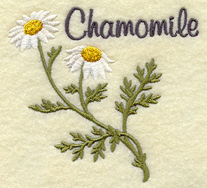 Chamomile