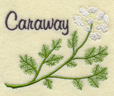 Caraway