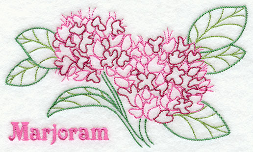 Marjoram (Redwork)