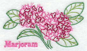 Marjoram (Redwork)