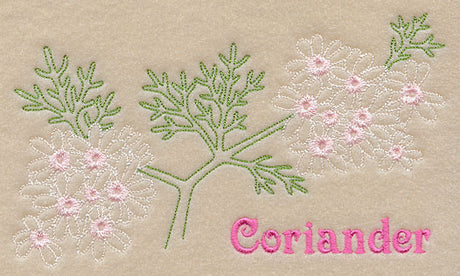 Coriander (Redwork)