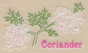 Coriander (Redwork)
