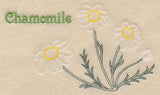 Chamomile (Redwork)