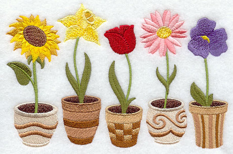 Pretty Potted Flowers