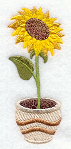 Pretty Potted Sunflower