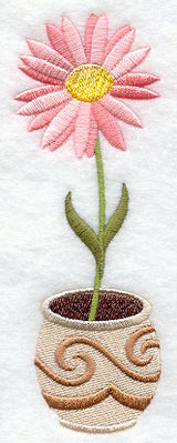 Pretty Potted Daisy