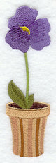Pretty Potted Pansy