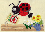 Ladybug & Seeds