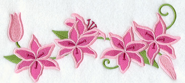 Stargazer Lilies Border