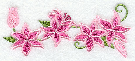 Stargazer Lilies Border