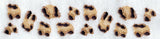 Sassy Leopard Print Border