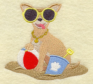 Chihuahua at the Beach