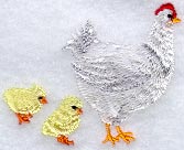 Chicken W/Chicks
