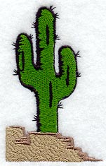 Prickly Cactus