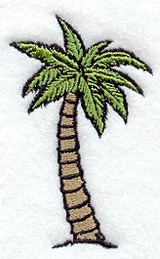 Palm Tree