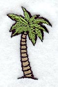 Palm Tree