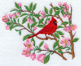 Cardinal - Spring