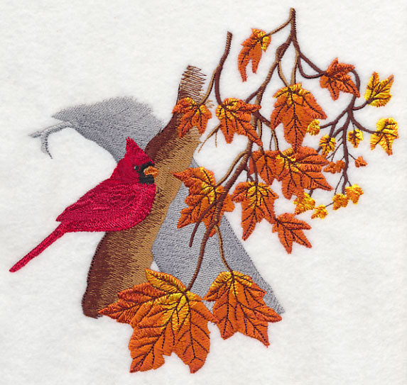 Cardinal - Autumn