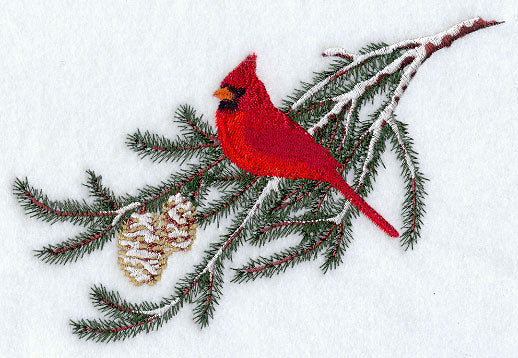 Cardinal - Winter