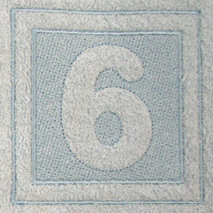 Block Number 6 - 7.8 Inch (Embossed)