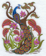 Paisley Peacock