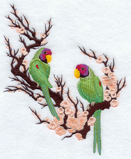 Asian Parakeets