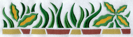 African Grasses Border