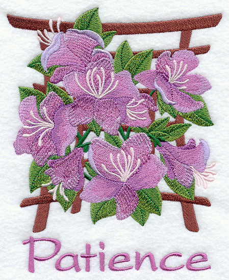 Japanese Azalea - Patience
