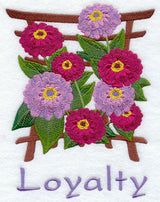 Japanese Zinnia - Loyalty