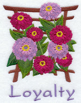 Japanese Zinnia - Loyalty