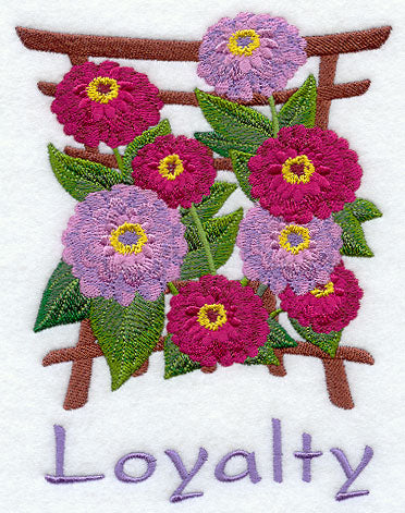 Japanese Zinnia - Loyalty