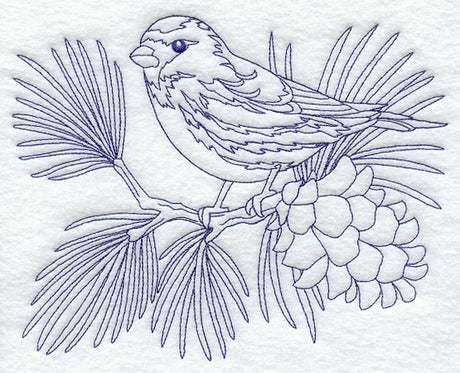 Hoary Redpoll (Bluework)