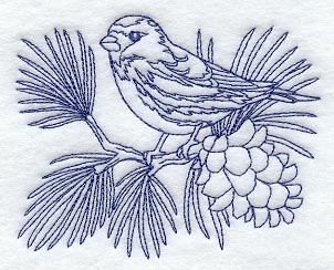 Hoary Redpoll (Bluework)