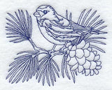 Hoary Redpoll (Bluework)