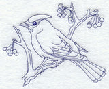 Bohemian Waxwing (Bluework)