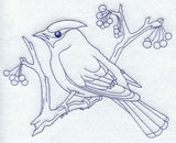 Bohemian Waxwing (Bluework)