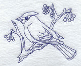 Bohemian Waxwing (Bluework)