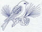 Pine Grosbeak (Bluework)