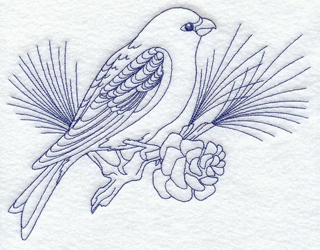 Pine Grosbeak (Bluework)